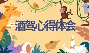 酒驾心得体会(17篇范文）