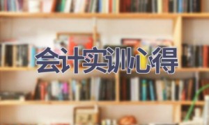 会计实训心得(7篇范文）