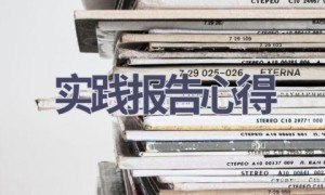 实践报告心得(16篇范文）