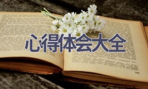 心得体会大全(12篇范文）