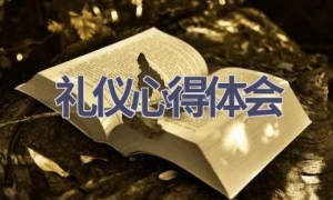 礼仪心得体会(21篇范文）