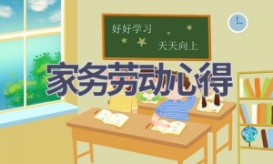 家务劳动心得(16篇范文）