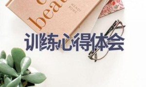 训练心得体会(16篇范文）