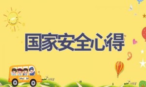 国家安全心得(17篇范文）