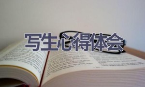 写生心得体会(18篇范文）