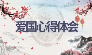 爱国心得体会(9篇范文）