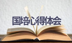 国培心得体会(18篇范文）