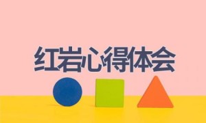 红岩心得体会(14篇范文）