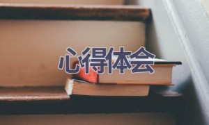 心得体会(15篇范文）