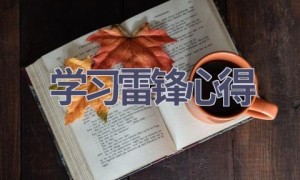 学习雷锋心得(11篇范文）