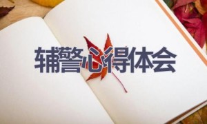 辅警心得体会(13篇范文）