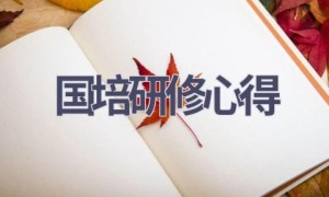 国培研修心得(16篇范文）