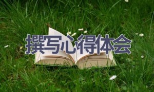 撰写心得体会(10篇范文）