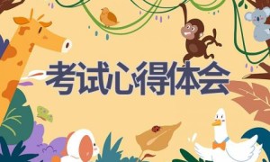 考试心得体会(19篇范文）