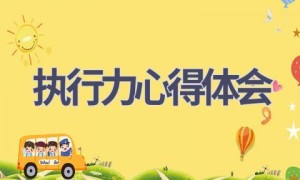 执行力心得体会(16篇范文）