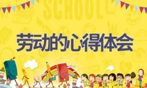 劳动的心得体会(16篇范文）