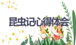 昆虫记心得体会(13篇范文）