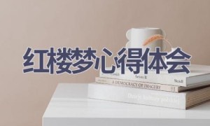 红楼梦心得体会(17篇范文）