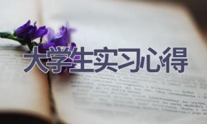 大学生实习心得(17篇范文）