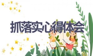 抓落实心得体会(10篇范文）
