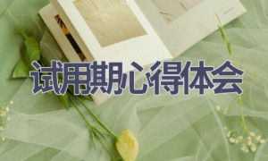 试用期心得体会(15篇范文）