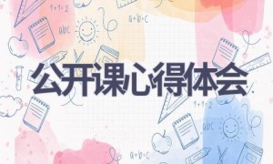 公开课心得体会(20篇范文）