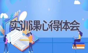 实训课心得体会(11篇范文）