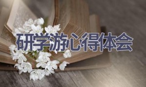 研学游心得体会(17篇范文）
