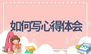 如何写心得体会(19篇范文）