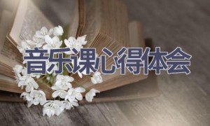 音乐课心得体会(15篇范文）