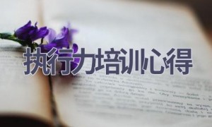 执行力培训心得(20篇范文）