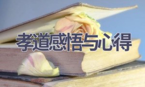孝道感悟与心得(16篇范文）