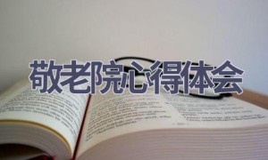 敬老院心得体会(14篇范文）