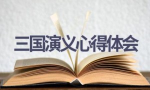 三国演义心得体会(20篇范文）