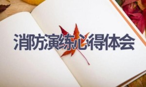 消防演练心得体会(15篇范文）