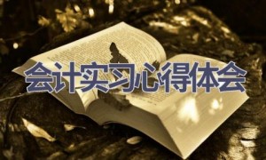 会计实习心得体会(19篇范文）