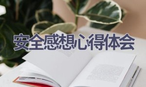 安全感想心得体会(10篇范文）