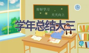 学年总结大三(14篇范文）