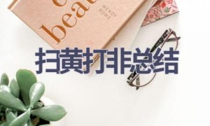 扫黄打非总结(15篇范文）