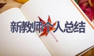 新教师个人总结(15篇范文）
