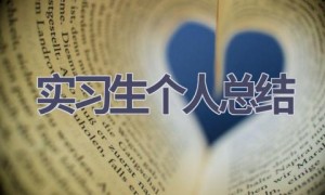 实习生个人总结(14篇范文）