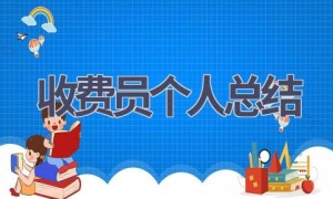 收费员个人总结(9篇范文）