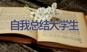 自我总结大学生(15篇范文）