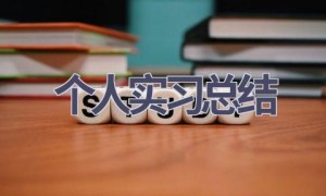 个人实习总结(17篇范文）