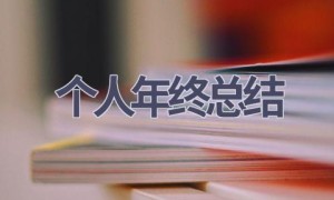 个人年终总结(14篇范文）