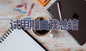 试用期自我总结(15篇范文）