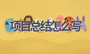 项目总结怎么写(15篇范文）