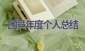 团员年度个人总结(13篇范文）