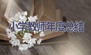 小学教师年度总结(15篇范文）