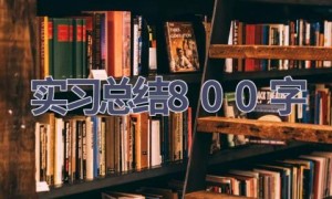 实习总结800字(15篇范文）